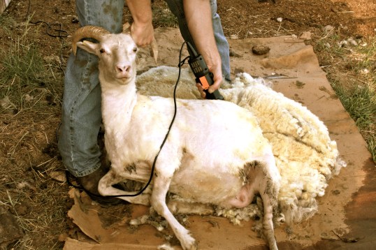 She's ready for her closeup