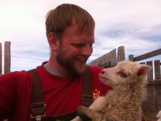 The very first lamb of 2014!